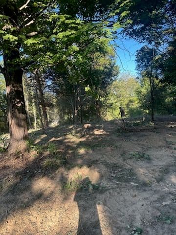 Transform Your Space with Precision Land Clearing