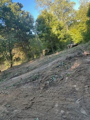 Transform Your Space with Precision Land Clearing