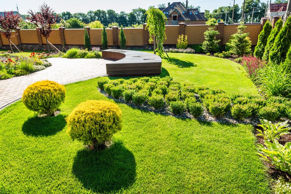 Lush green garden with shaped shrubs, decorative pathway, and wooden bench in sunny landscaping.